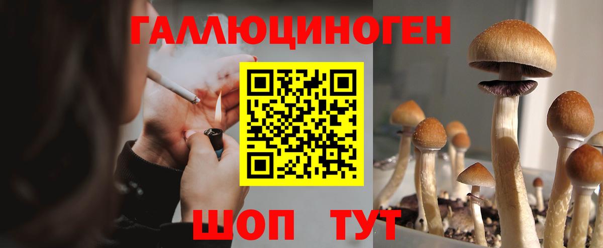 Саяногорск  Галлюциногенные грибы MAGIC MUSHROOMS  Вход с VPN 